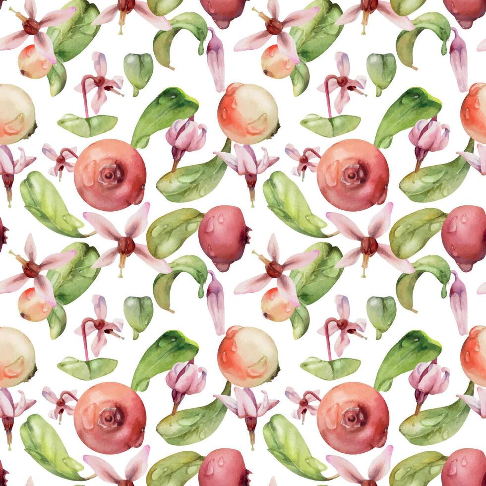 Cranberry lingonberry pink flowers stems, water dew drops, ripe swamp forest berry, bearberry teaberry wintergreen. Isolated seamless pattern hand drawn in watercolor. Restaurant menu, farmers market vector