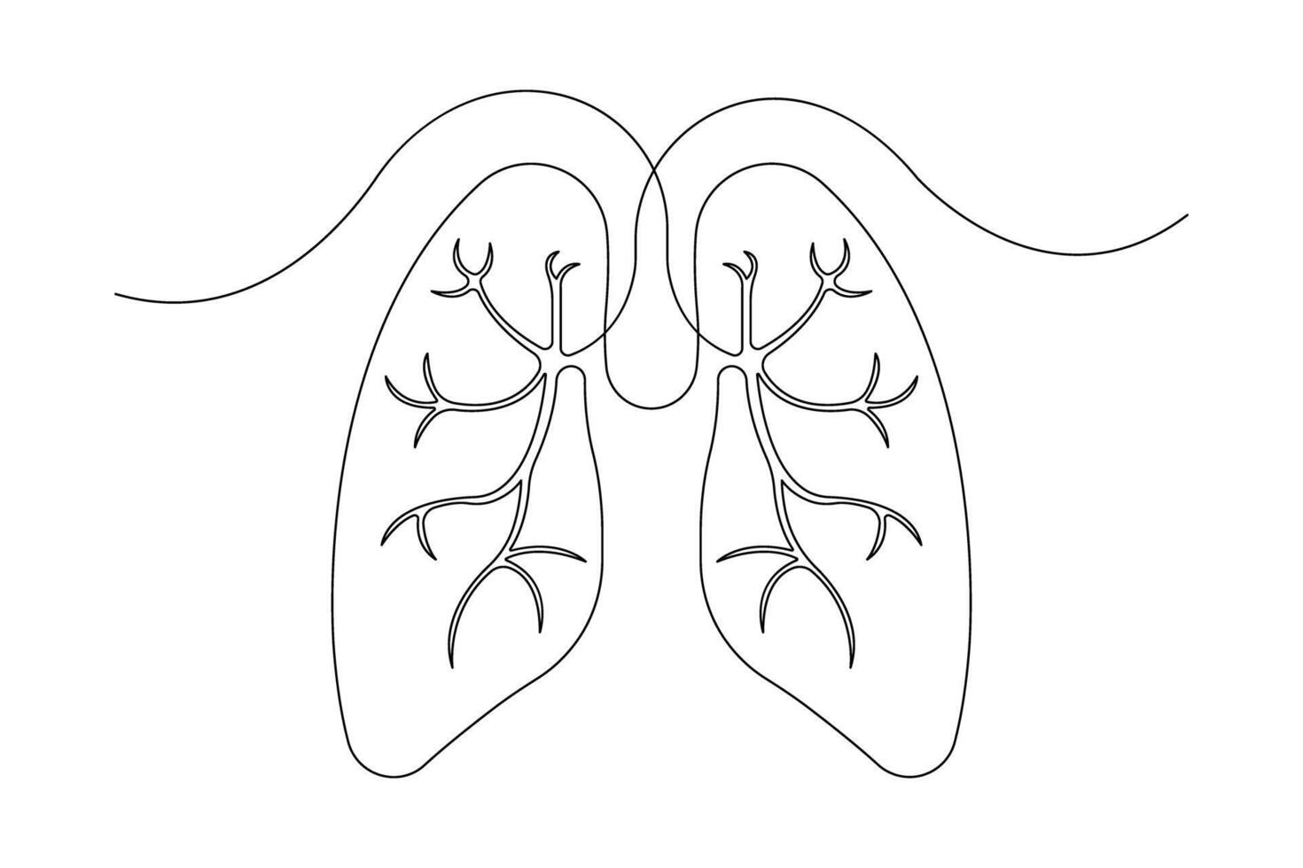 Anatomical human lungs continuous one line art drawing illustration. Dynamic medical internal anatomy design vector