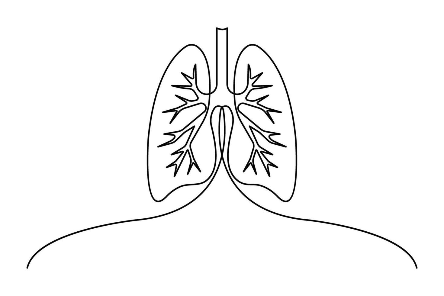 Anatomical human lungs continuous single line drawing illustration. Dynamic medical internal anatomy design vector