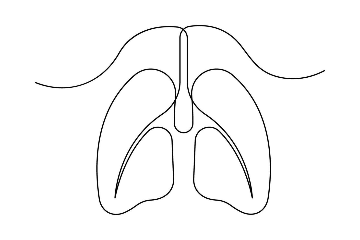 Anatomical human lungs continuous one line drawing illustration. Dynamic medical internal anatomy design vector