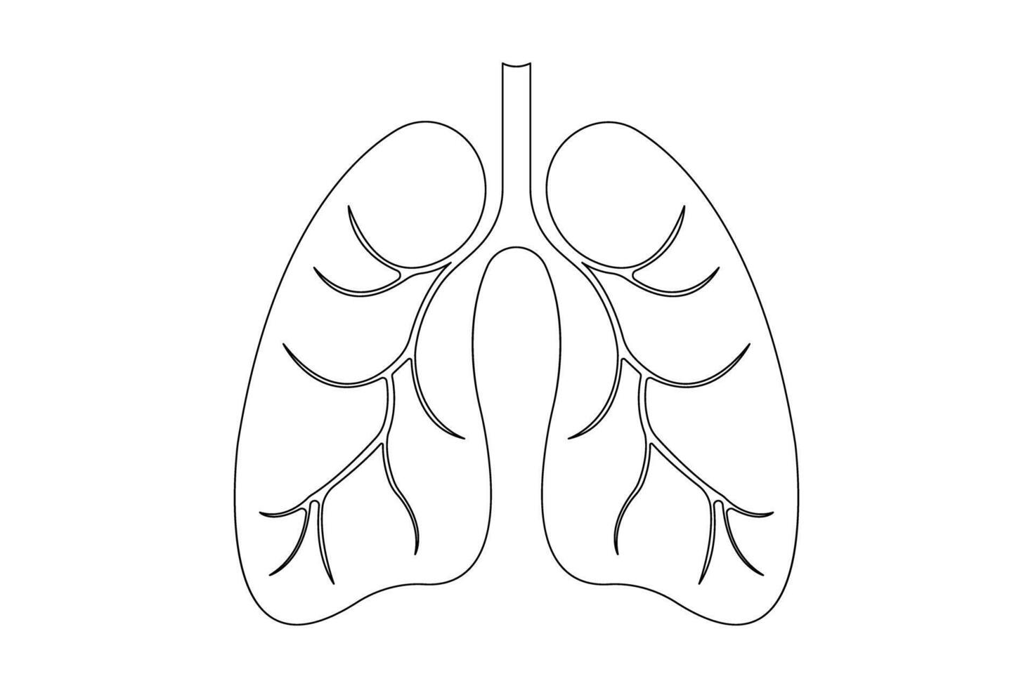 Anatomical human lungs continuous single line drawing illustration. Dynamic medical internal anatomy icon vector