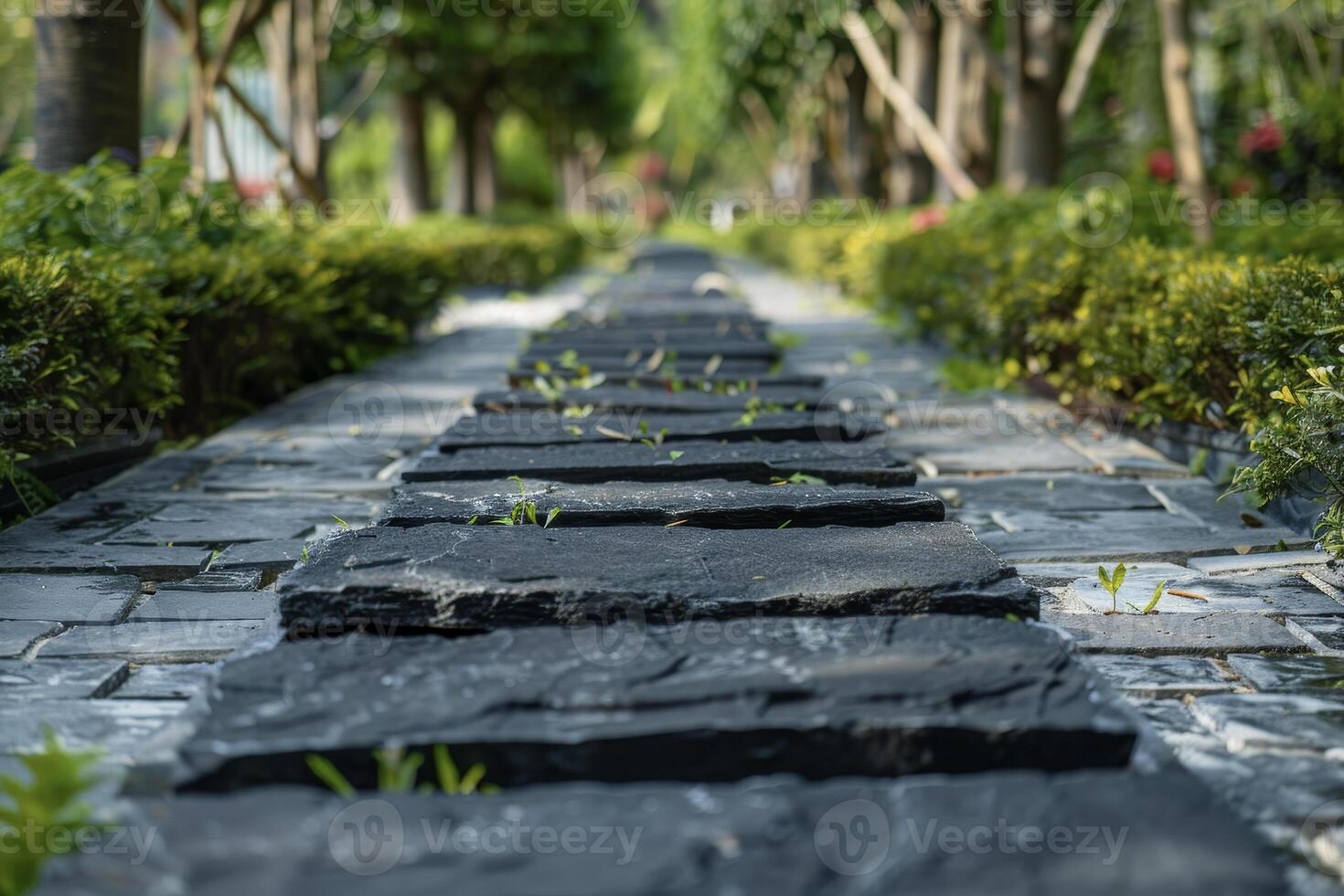 A stone path that is lined with black stones photo
