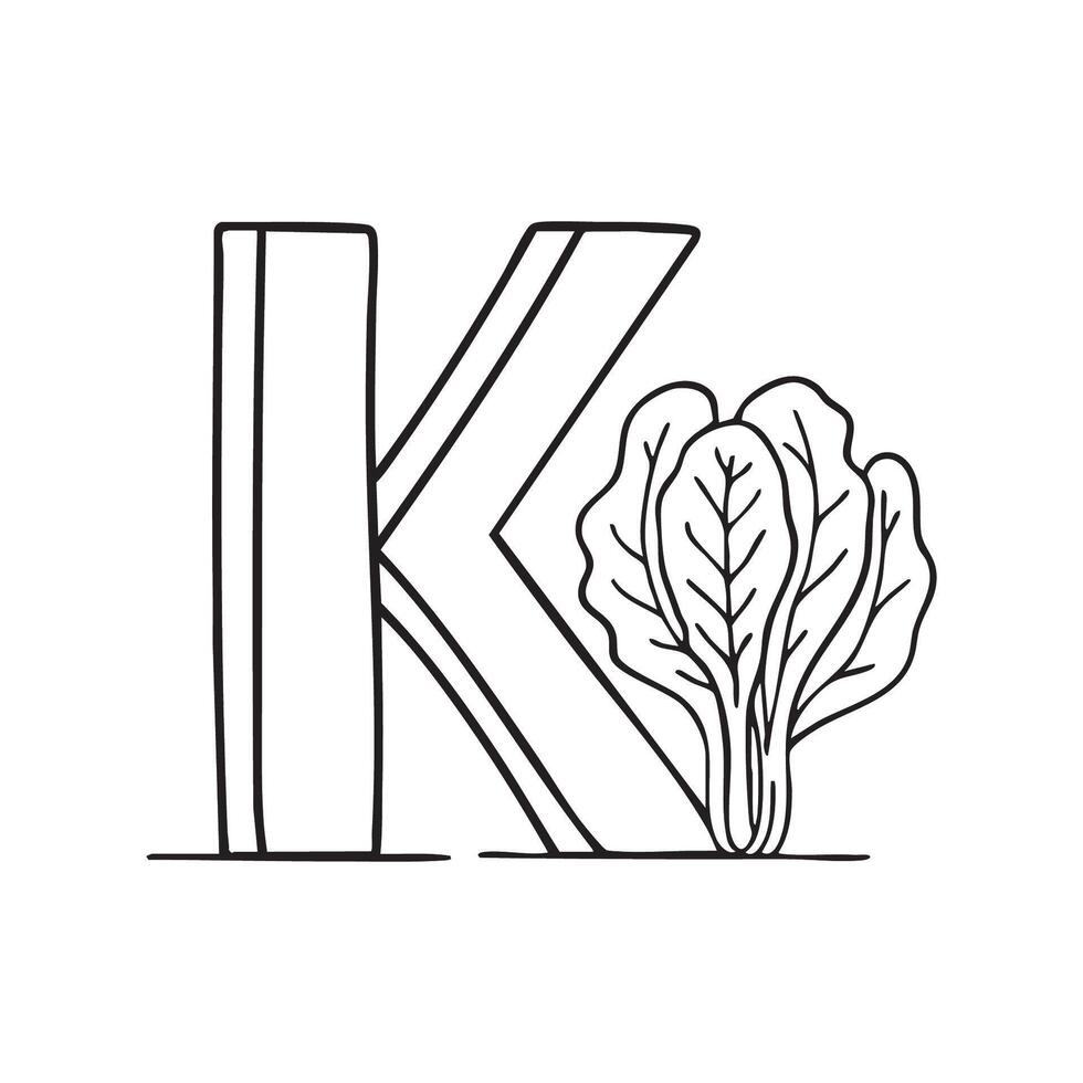 An illustration of kale beside letter K vector