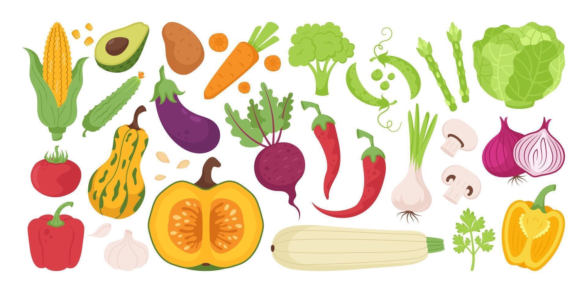 Set of vegetables, fresh vegetables, hand drawn, on white background vector