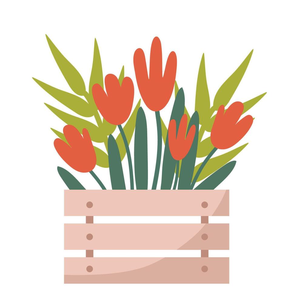 Rustic Wooden Crate Filled with Blooming Red Tulips Elegant Floral Botanical Illustration for Spring and Summer Decor vector