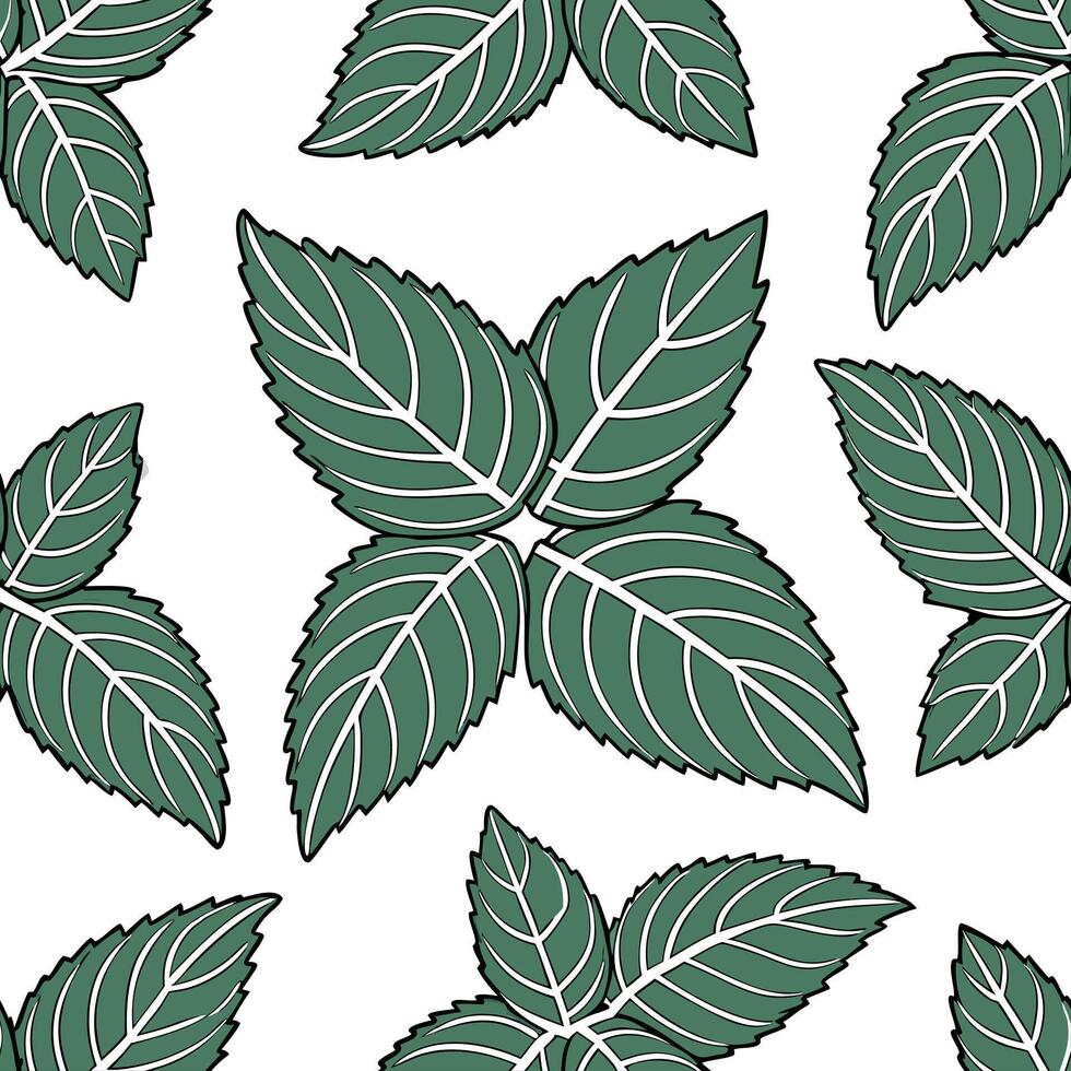 Bohemian herb seamless tile pattern with lush green mint leaves and intricate vein details on a white background ideal for eclectic spaces Clean vector