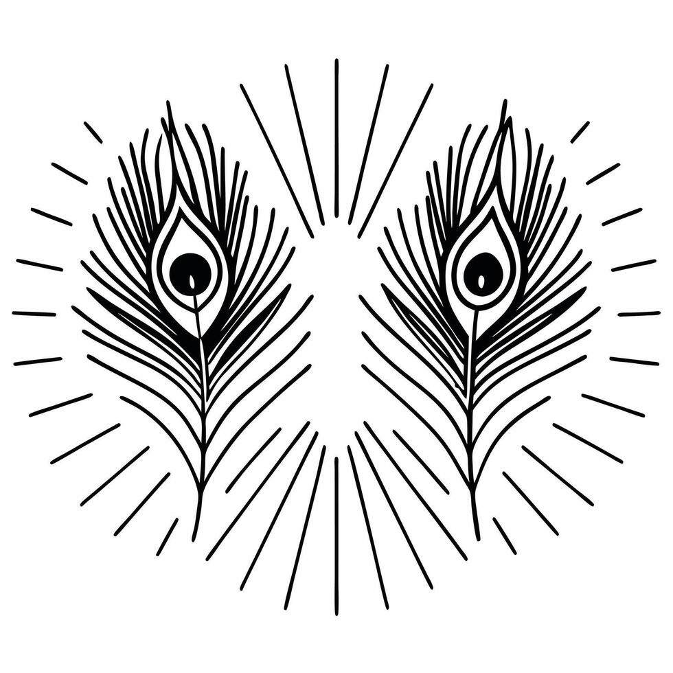 Isolated Peacock Feather and Sparklers concept as A illustration featuring a colorful peacock feather paired with sparkling lines both elements isolated on a white backgroun Squre vector
