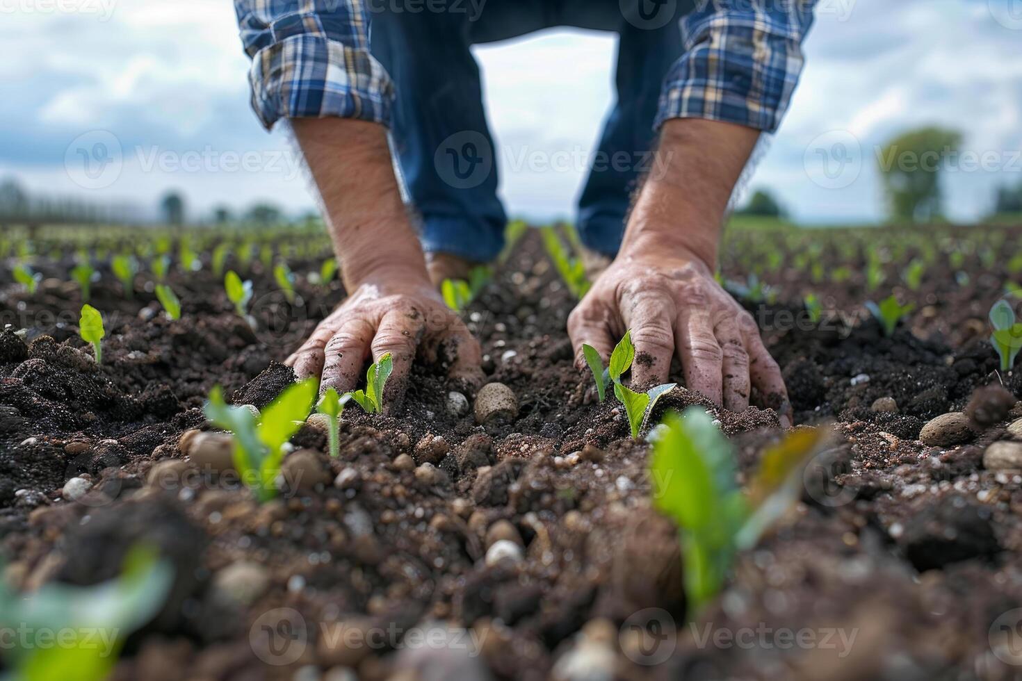 Farmers Planting Cover Crops for Soil Health and Erosion Control photo
