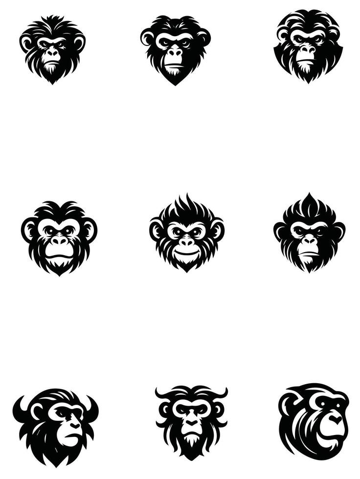 Kingdom Monkey Collection Logo vector