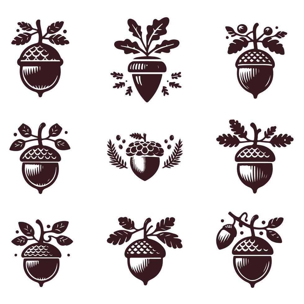 Tiny Acorn collection logo vector