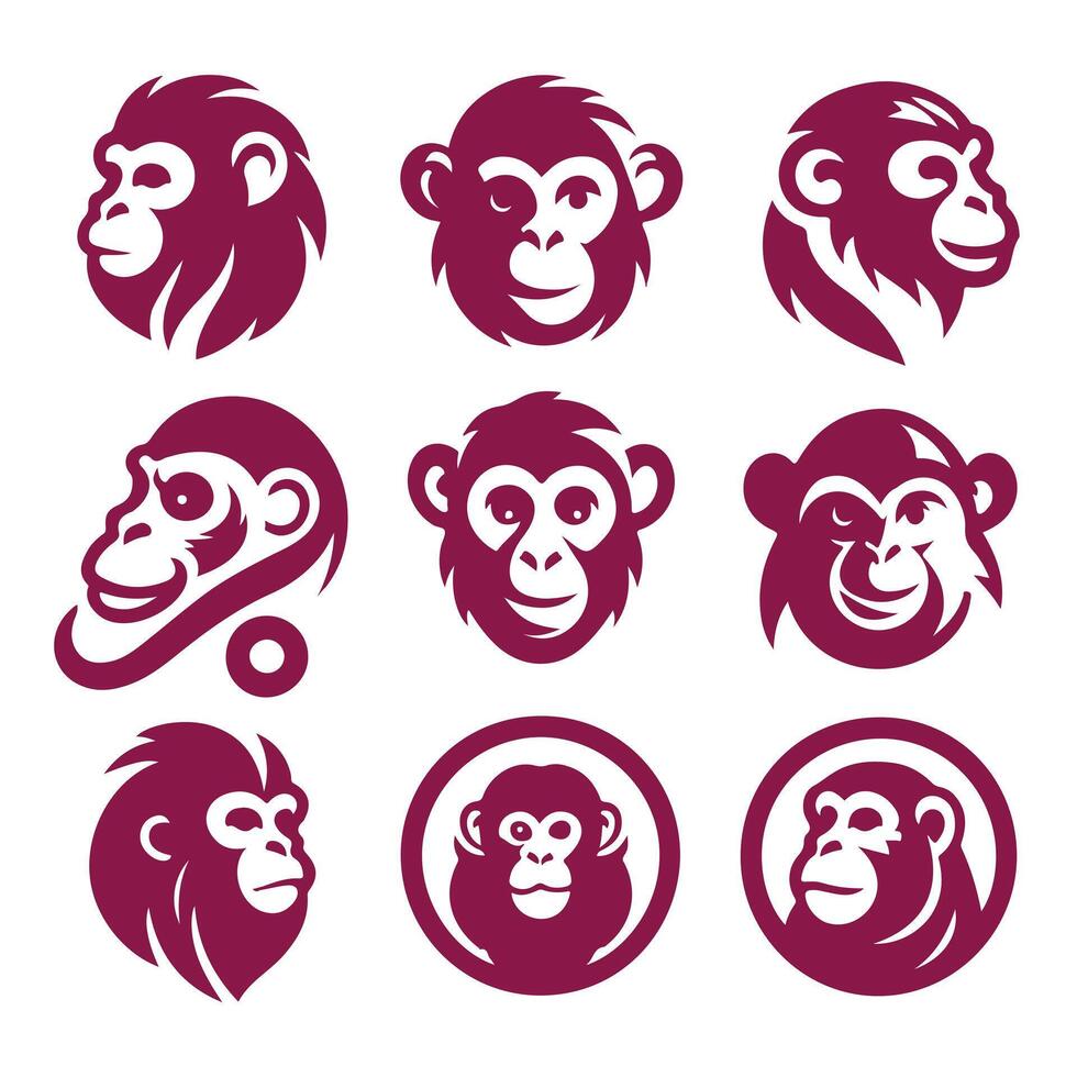 Jungle Swing Monkey Collection Logo vector