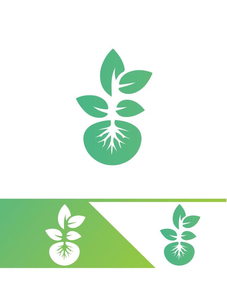 Blossom Path Seedling Logo Design vector