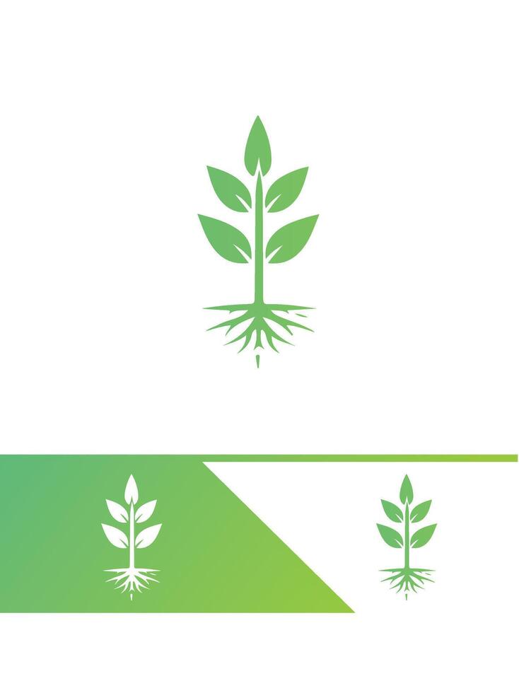 Roots and Shoots Seedling Logo Design vector