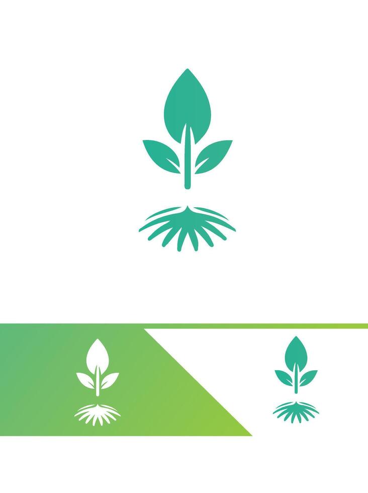 Seed To Sprout Logo Design vector