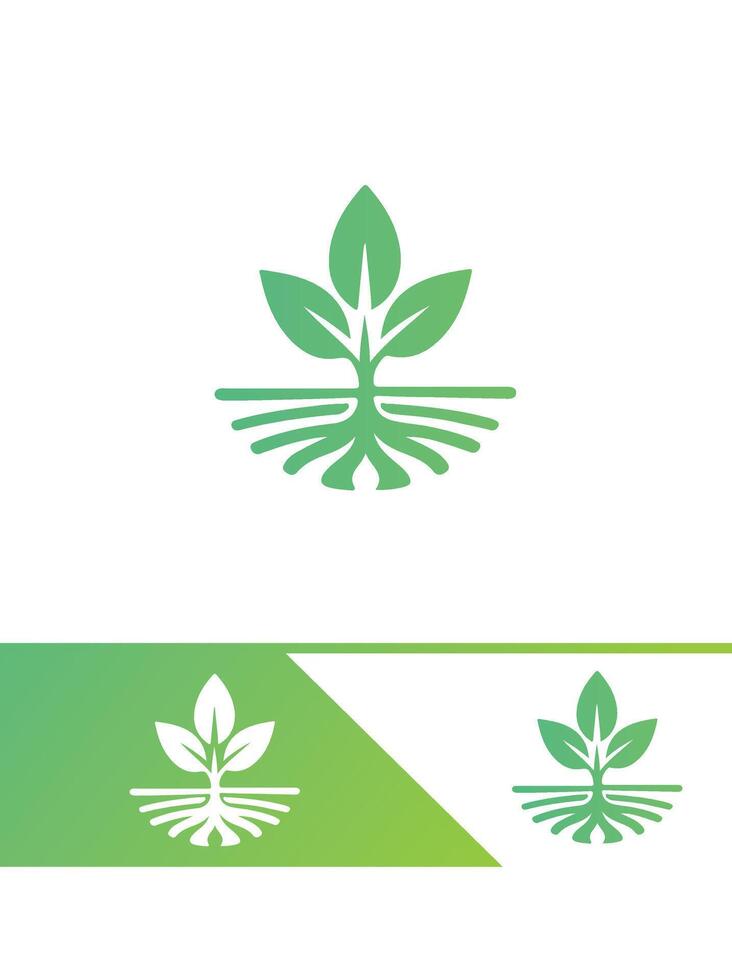 Green Burst Seedling Logo vector