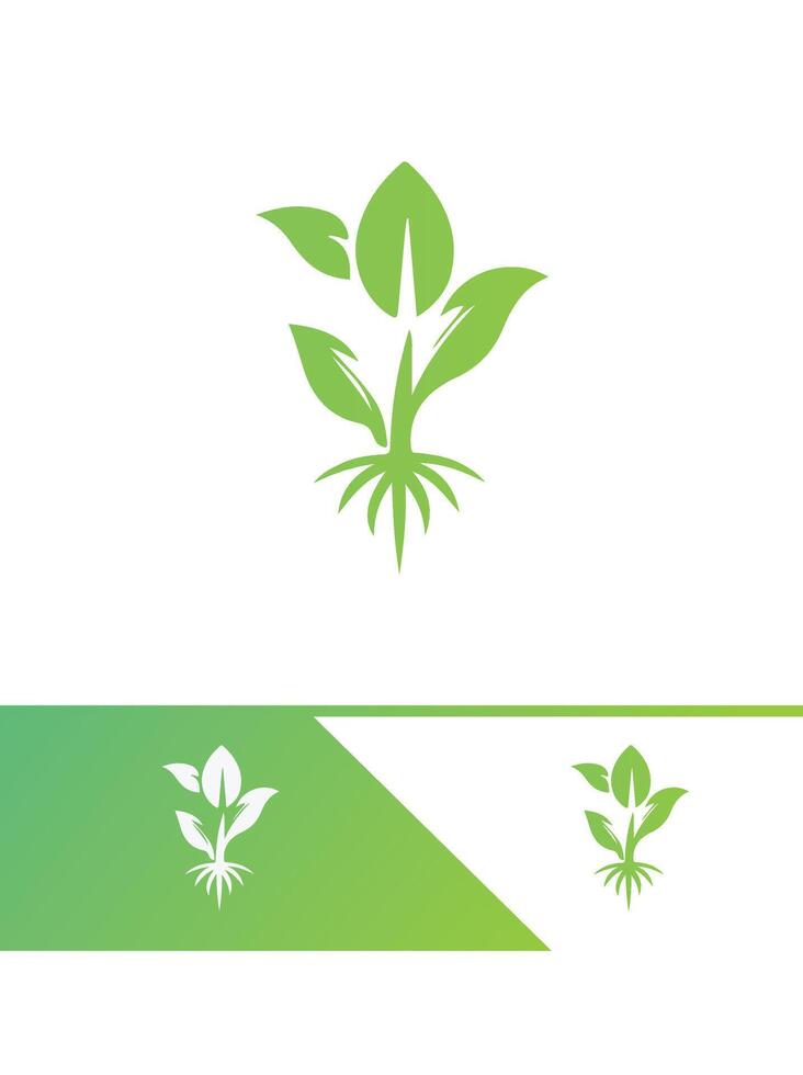 Rooted Sprout Seedling Logo vector