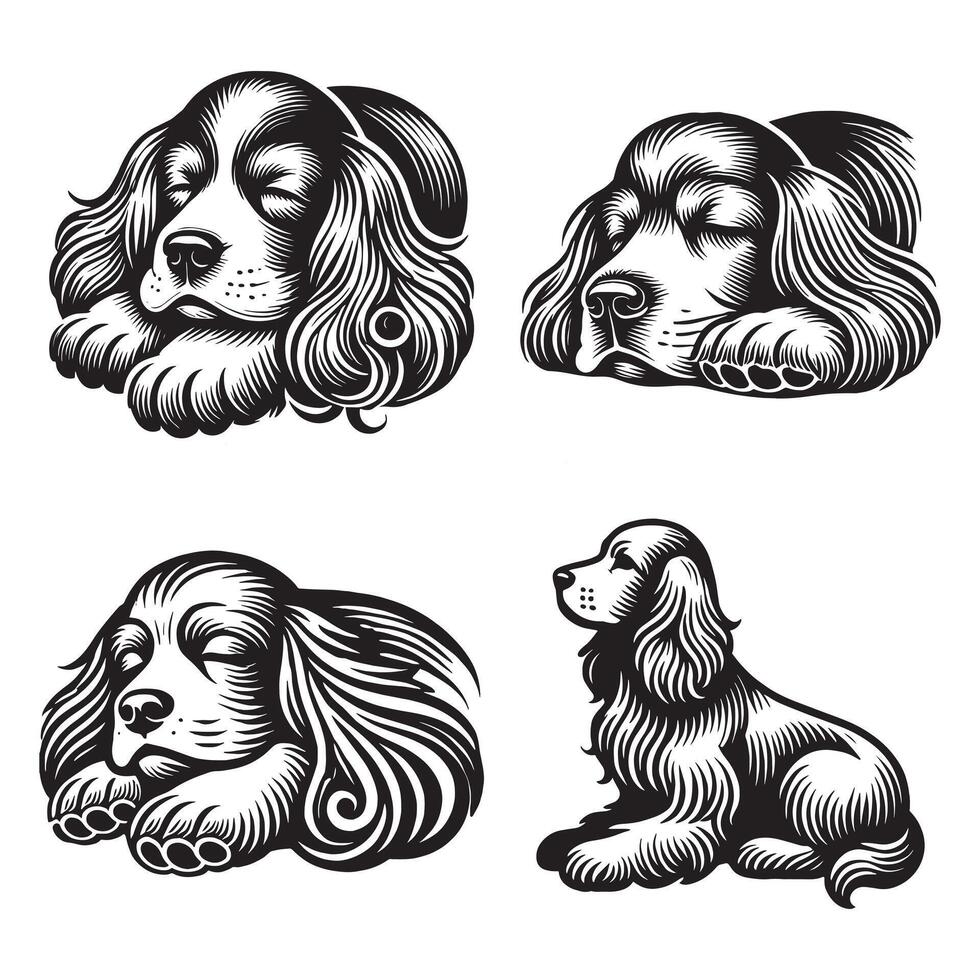 Charming Cocker Spaniel Pup vector