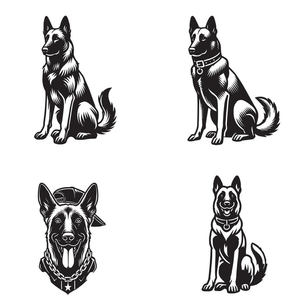 Border Collie The Herding Hero vector