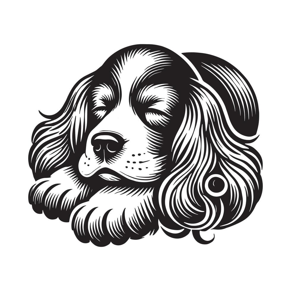 Peaceful Cocker Spaniel Napping vector