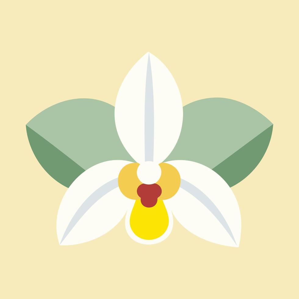 Orchid Flower Minimal Illustration Modern Botanical Floral Art in Soft Pastel Colors Decorative Flat Digital Design for Prints Backgrounds and Graphic Design vector