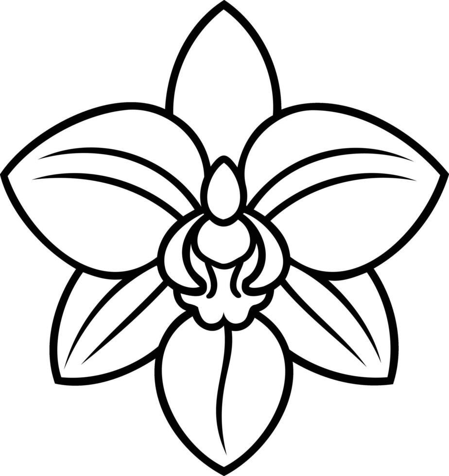 Simple Orchid Flower Line Art Illustration Minimalist Botanical Drawing Isolated Floral Outline Design Element vector