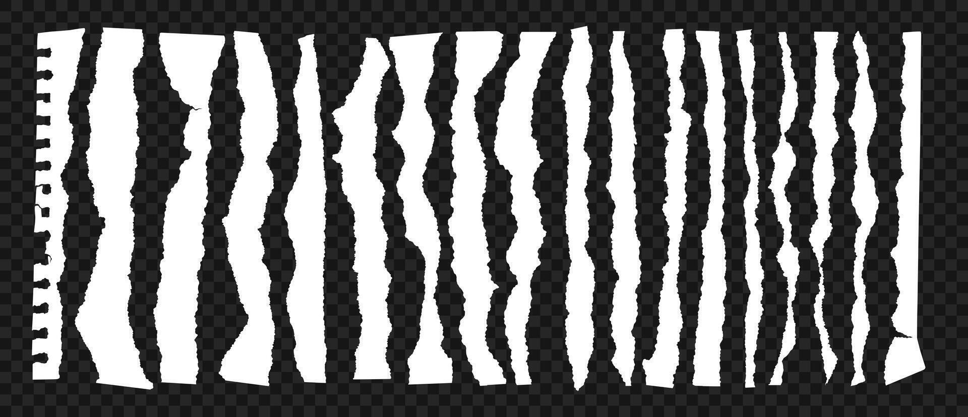 Torn paper edge. Realistic torn papers strips with ripped edges. White ripped paper sheets for transition effects. isolated set on transparent background vector
