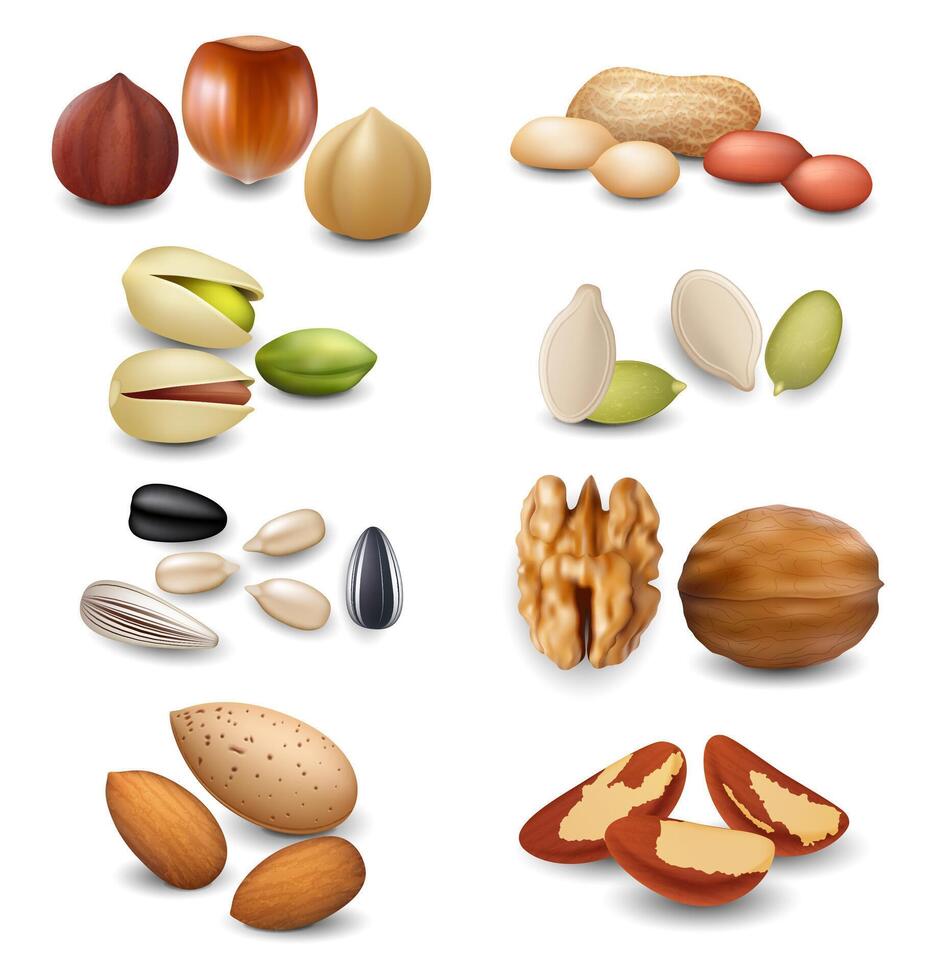 Realistic Detailed 3d Different Nuts Set. vector