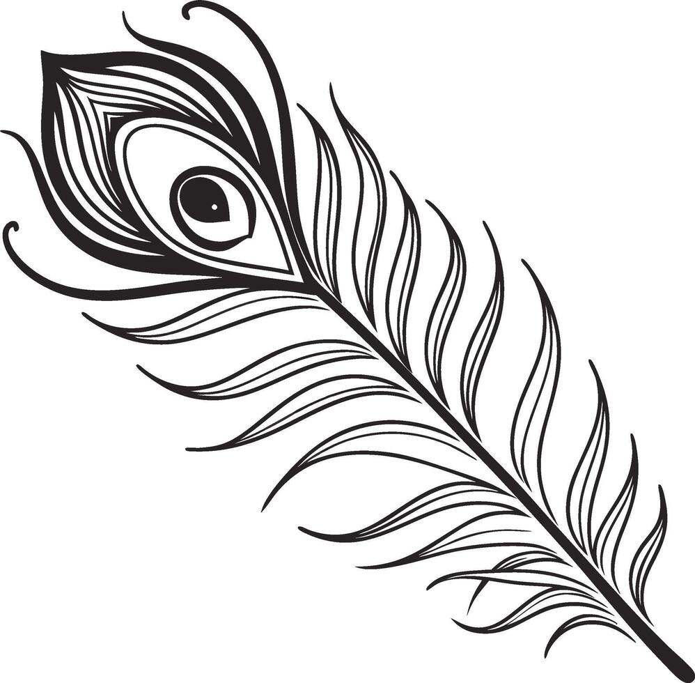 Minimalist Peacock Feather Artwork vector