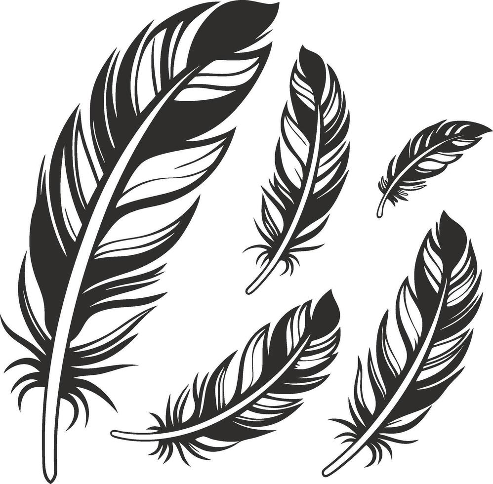 Sleek Feather Shape Set vector