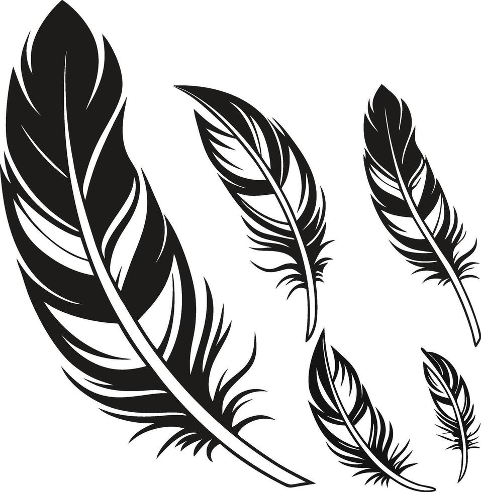 Artistic Feather Design Bundle vector