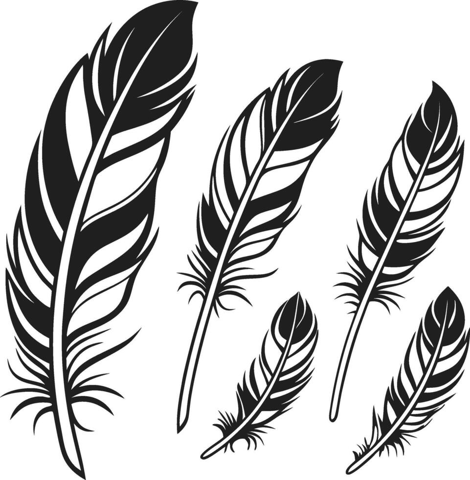 Feather Silhouette Design vector