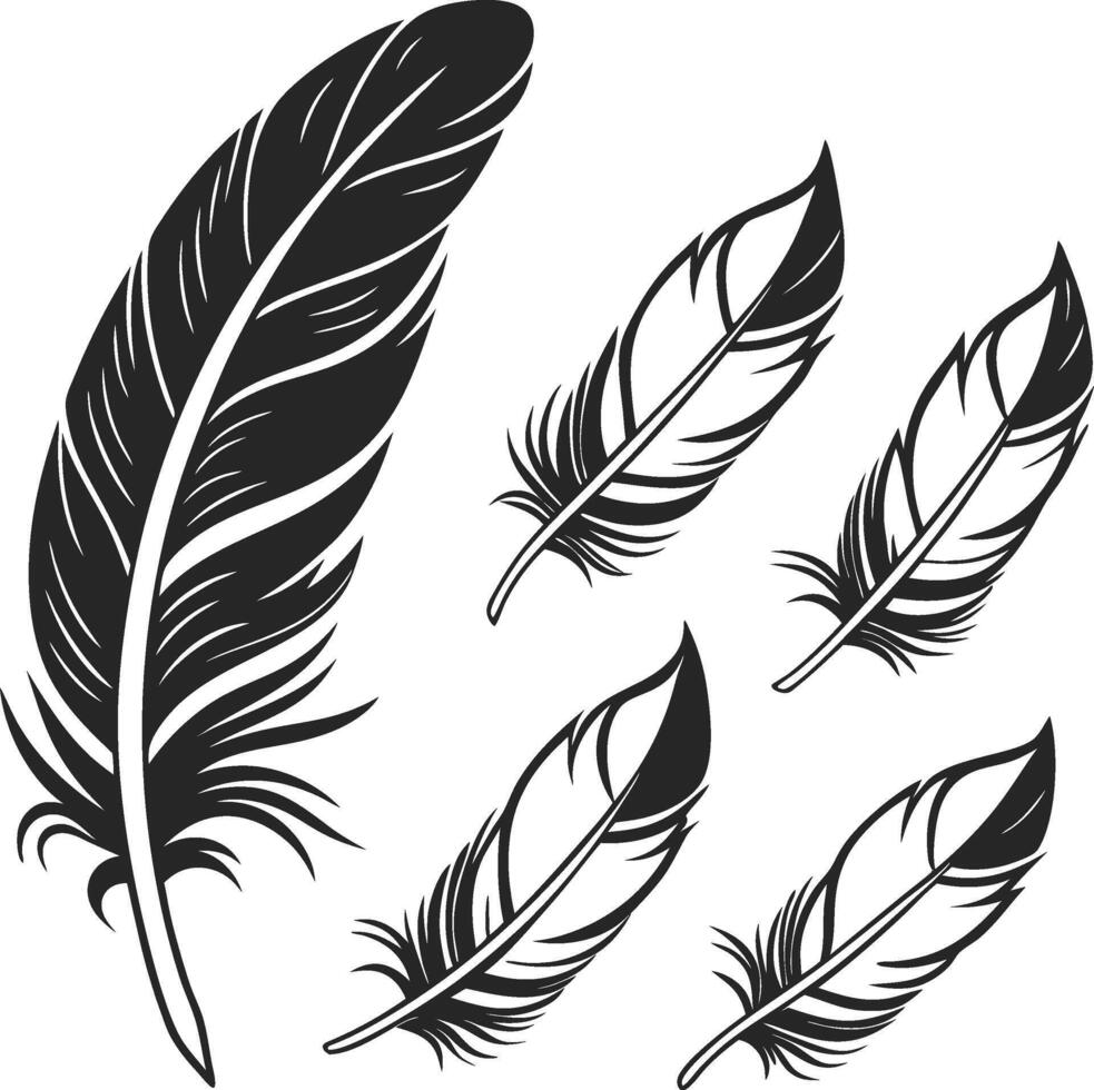 Elegant Feather Silhouette Collection design vector