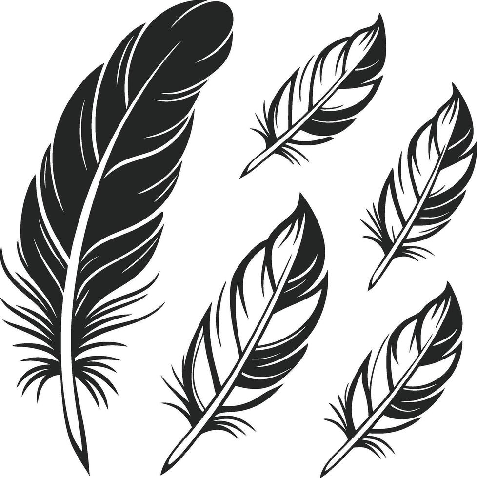 Timeless Feather Design Collection vector