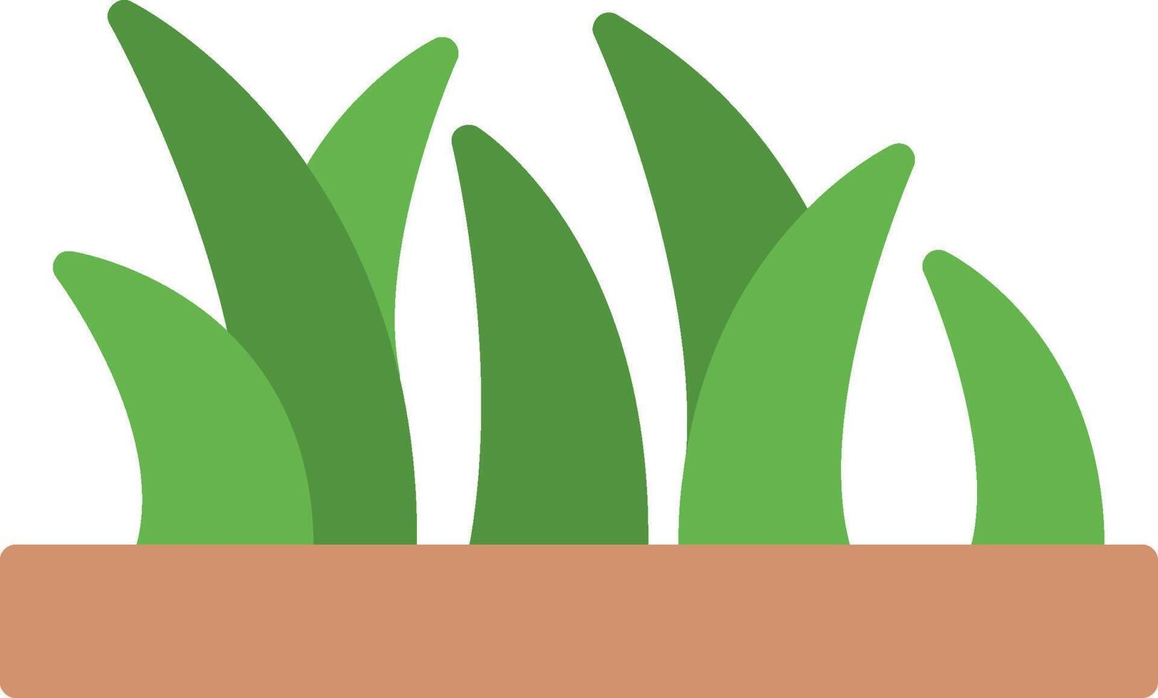 A plant in a pot on a white background vector