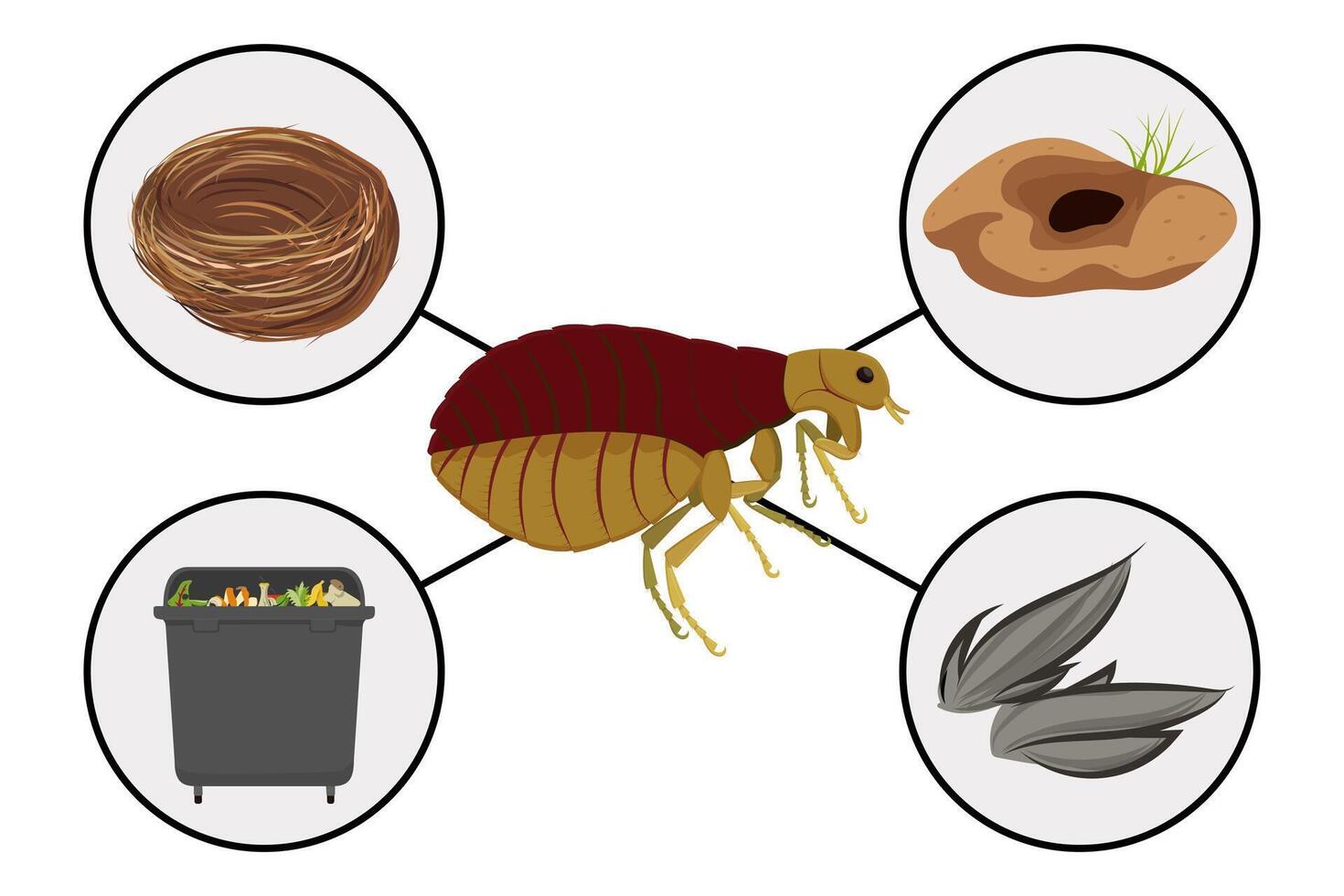 Main flea habitats showing a flea and its favorite environments, including bird nests, animal burrows, garbage and animal hair vector