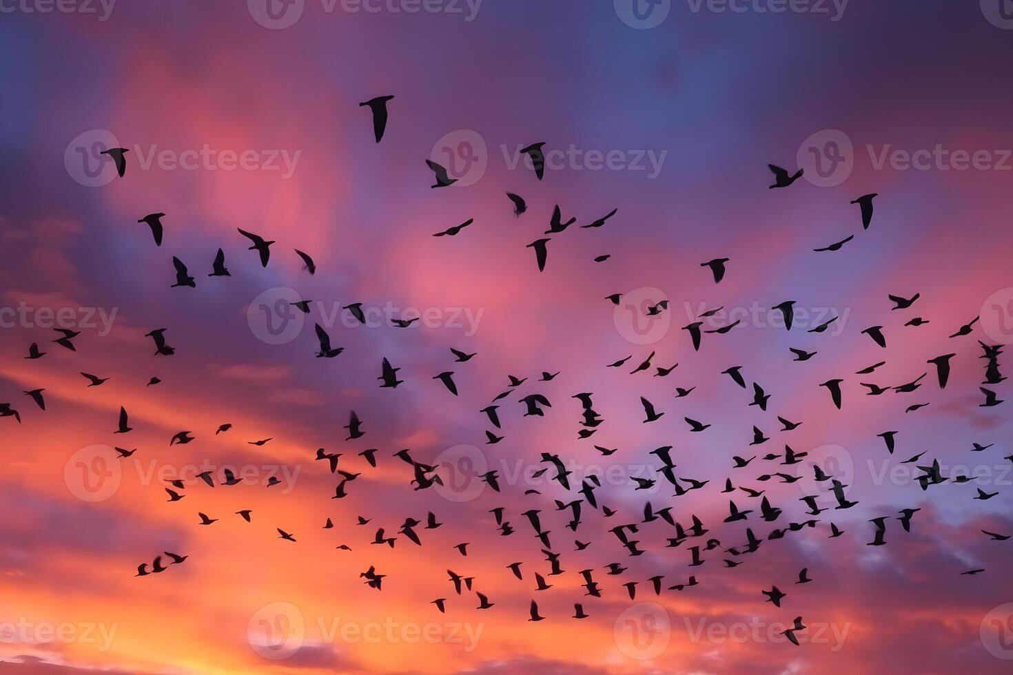 Panning shot of a flock of birds in flight against a colorful sunset sky, capturing the graceful motion of the birds while blurring the background to create a sense of movement and dynamism. photo