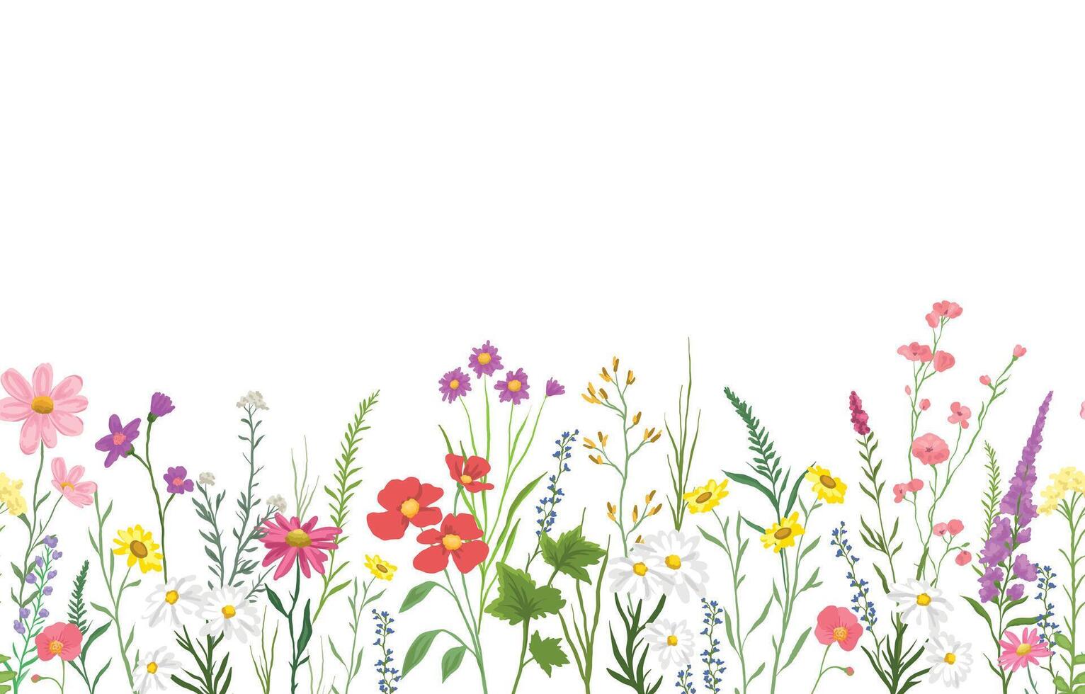 illustration of background with various wildflowers and delicate plants, seamless from right to left vector