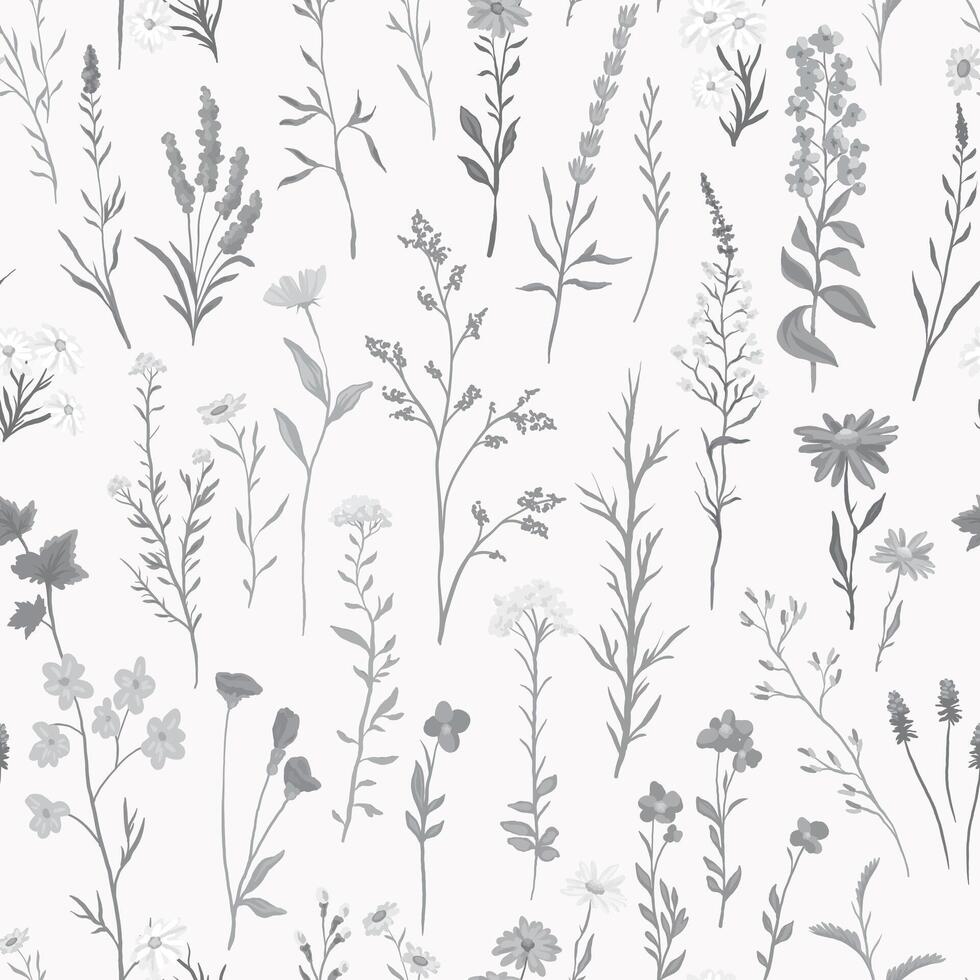 illustration of Seamless monochrome pattern with various wildflowers and delicate plants vector