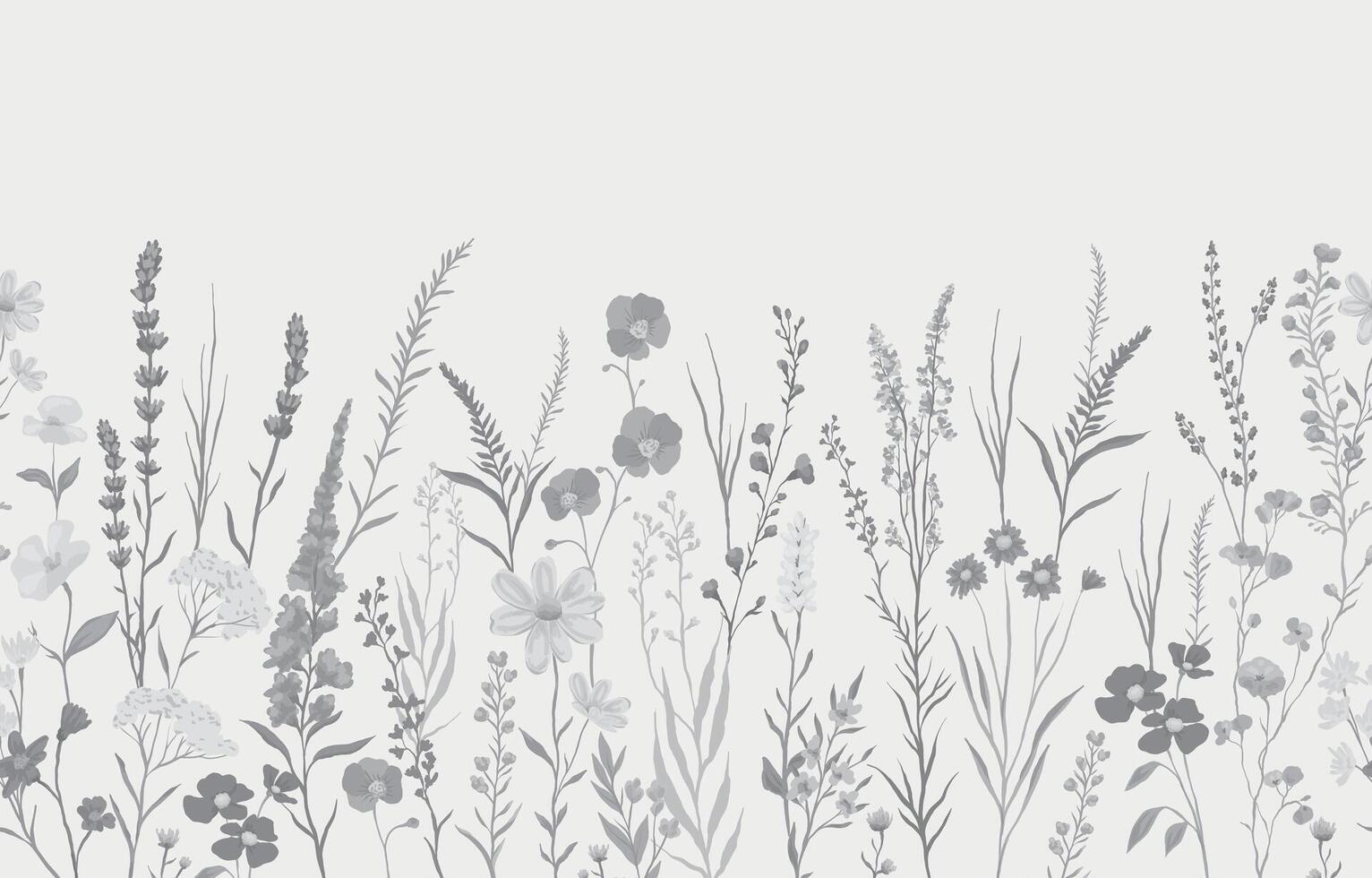 illustration of monochrome background with various wildflowers and delicate plants, seamless from right to left vector