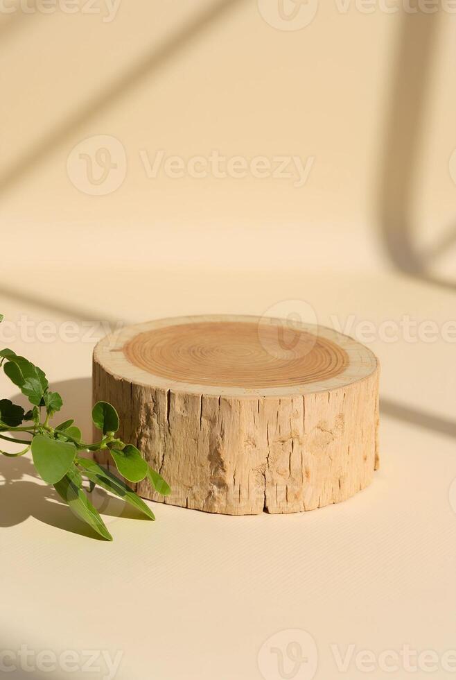 Natural wooden base with a smooth finish and green leaves for decoration placed on a light-colored surface in soft sunlight photo