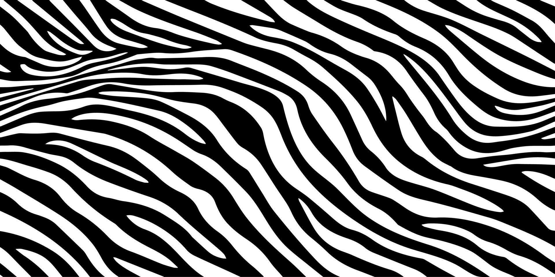 Background with zebra stripes. Horizontal banner with stylish bold curved lines. Black and white wallpaper. illustration. vector