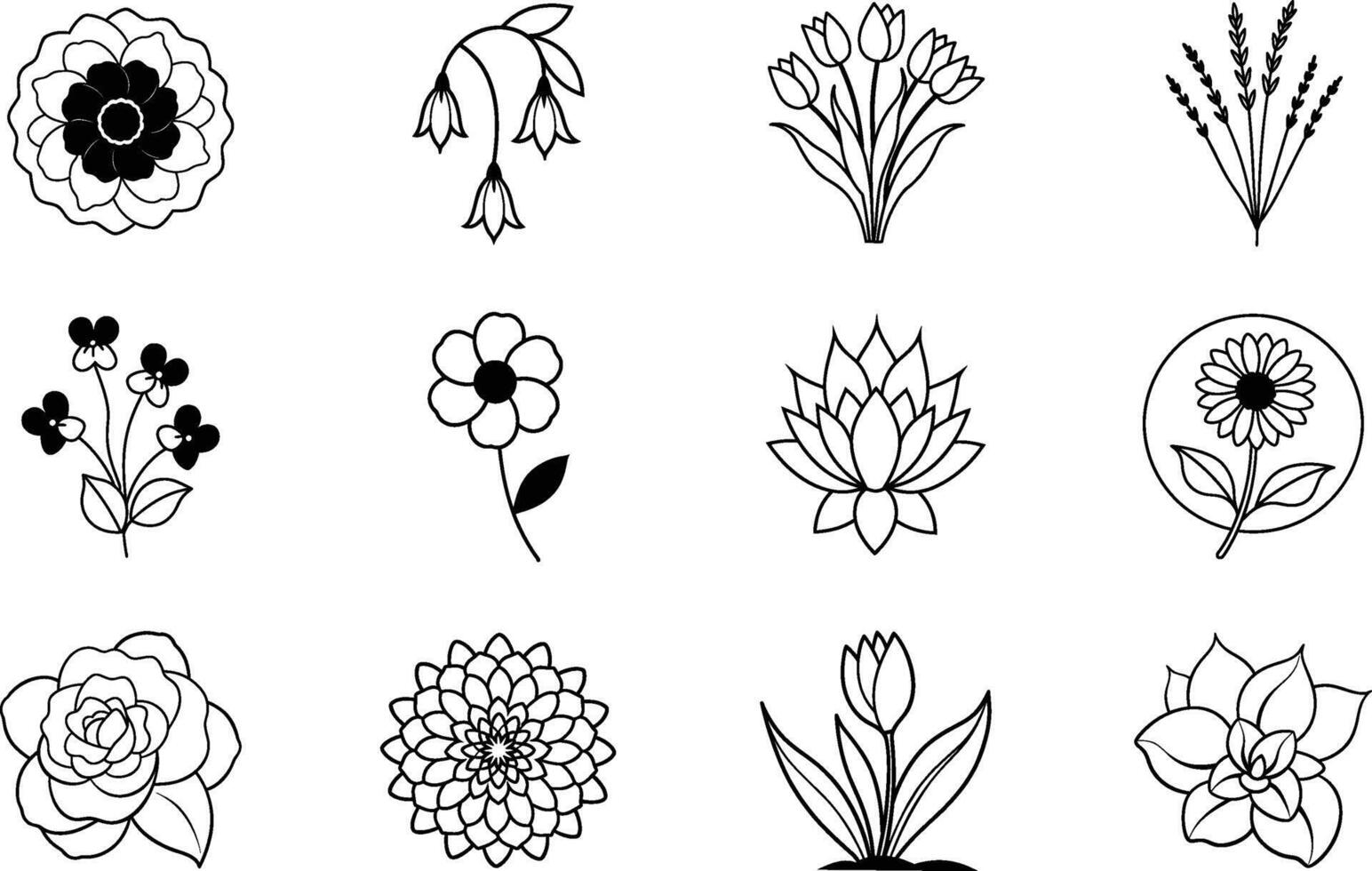 Twelve simple line drawings of various flowers roses, tulips, lotuses, daisies, and more. Black outlines on a white background. Botanical illustrations. vector