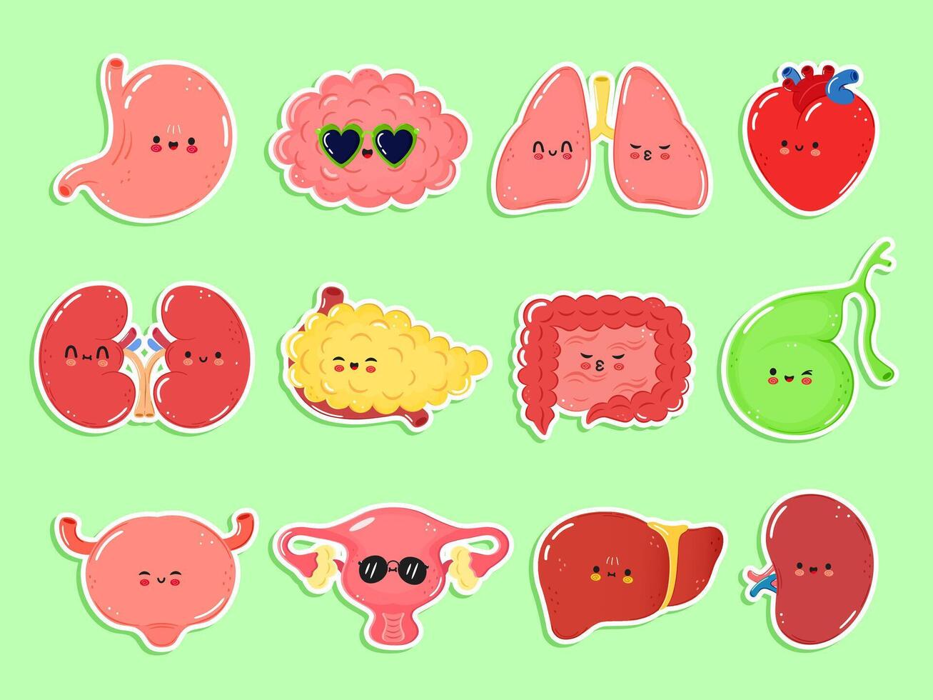 Happy human internal organs stickers. Cartoon human organ heart, liver, stomach, lungs, kidneys, pancreas, intestines, bladder, uterus, brain, spleen, bone, gallbladder. Internal organs stickers set vector