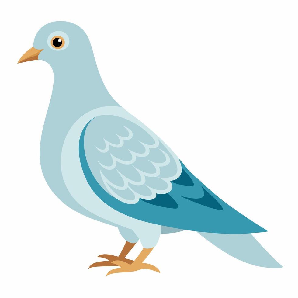 Cute bird pigeon. illustration dove isolated on white background. Suitable for education poster ornithology, ,children's books. vector