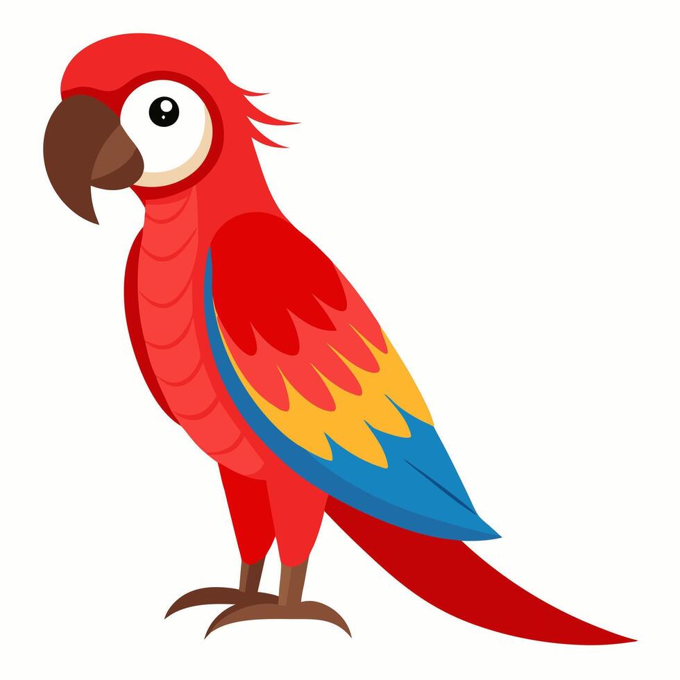 Cartoon red macaw parrot isolated on white background. Cute talking domestic bird. Suitable for education poster infographic guide catalog,children's books. Side view. Isolated on white background. vector