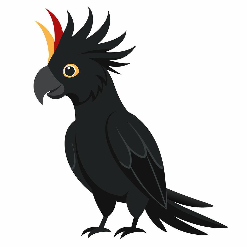 cartoon bird a black cockatoo parrot. Cute exotic parrot from Australia. Isolated on white background. Side view. vector