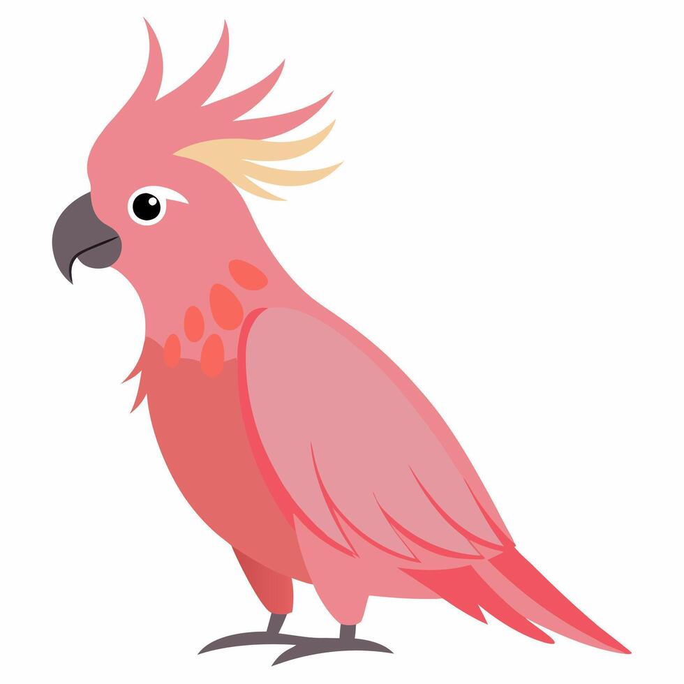 cartoon bird a pink cockatoo parrot. Beautiful exotic parrot from Australia. Isolated on white background. vector