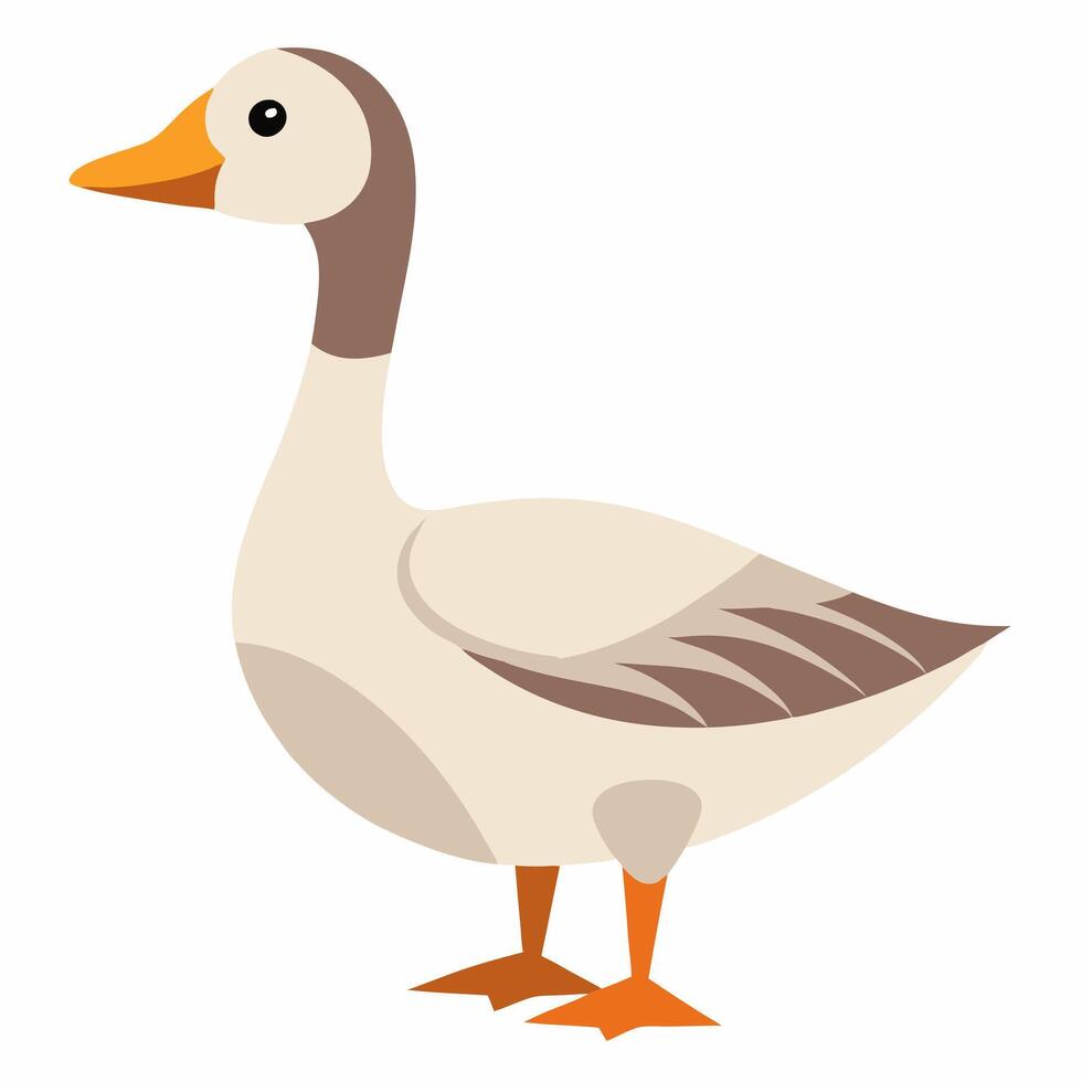 Cartoon cute goose . Illustration isolated on white background. Suitable for education poster ornithology ,children's books. vector