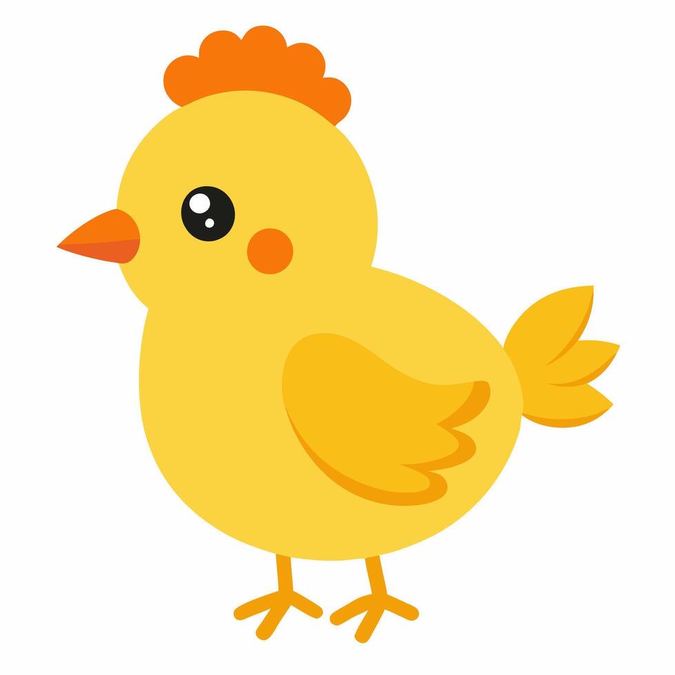 Cartoon cute yellow chick. Illustration isolated on white background. Suitable for education poster ornithology ,children's books. vector