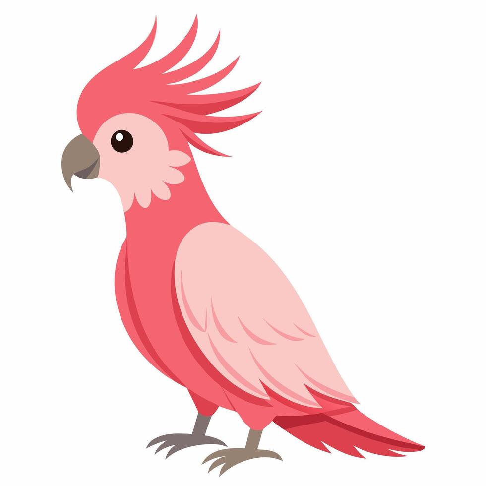 cartoon bird a pink cockatoo parrot. Cute exotic parrot from Australia. Isolated on white background. Side view. vector